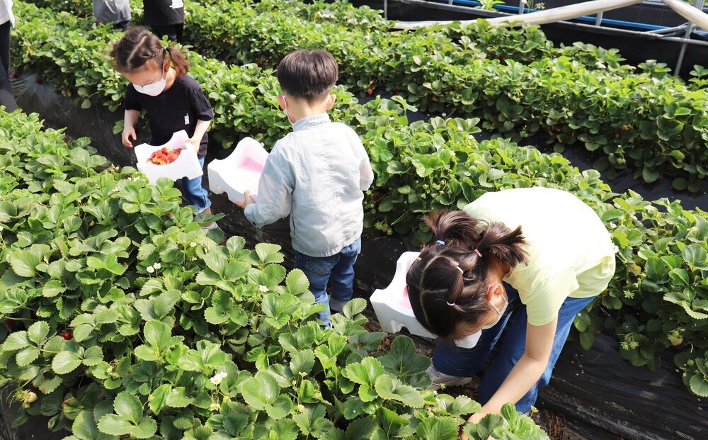 나주로컬푸드 체험투어