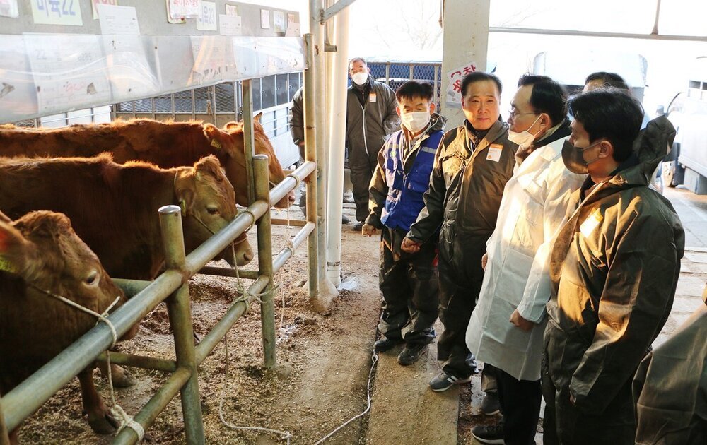 윤병태 나주시장이 영산포 우시장을 찾아 한우농가 애로사항을 청취했다