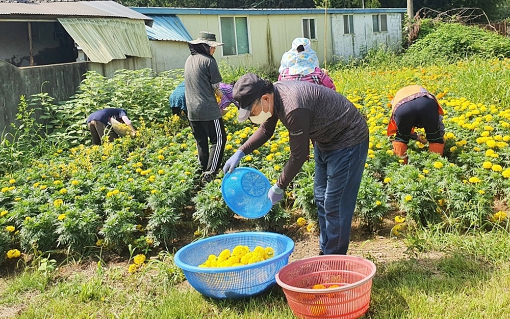 나주시, 지난 해 농촌에서 살아보기 체험 모습