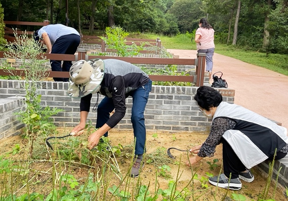 사람들이 호미를 들고 텃밭에 풀을 뽑고 있는 모습