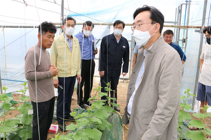 태풍 힌남노 대비 메론농가 방문