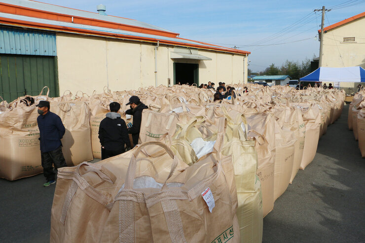 공공비축미 수매현장 (금천면)