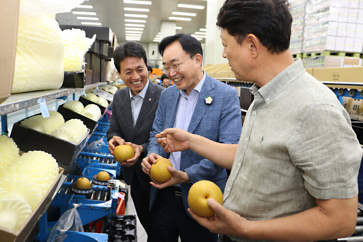 추석 명절 배 선과장 방문 나주시장, 농협나주시지부장, 관계자 3명이 한손엔 배를 들고 함께 대화를 나누며 웃고 있는 모습