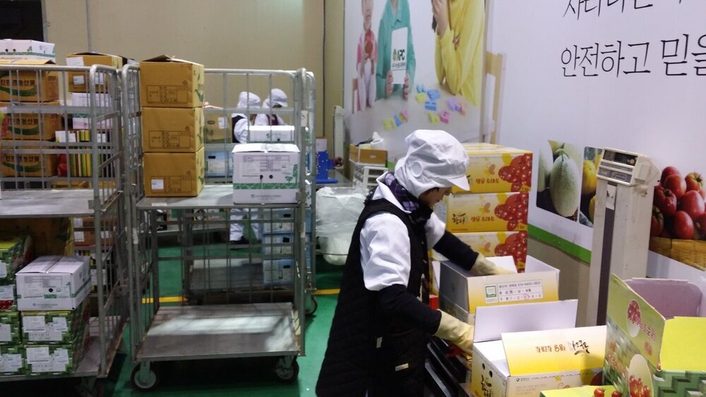 친환경학교급식 안전성 검사 2.jpg