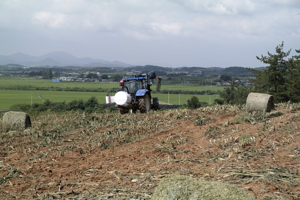 옥수수베일작업 2.JPG