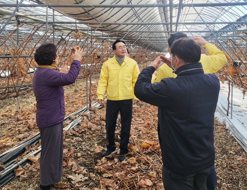 윤병태 나주시장, 폭설 피해 입은 남평읍 시설하우스 현장 방문, 농가 애로사항 청취