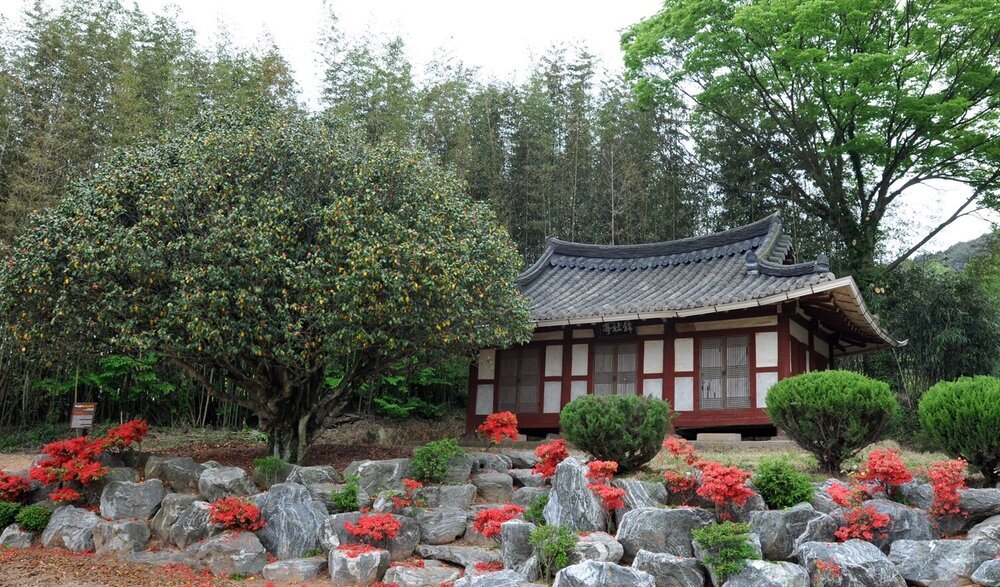 나주 왕곡 송죽리에 위치한 '금사정'과 '동백나무'