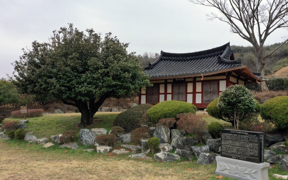 나주 왕곡 송죽리에 위치한 '금사정'과 '동백나무'