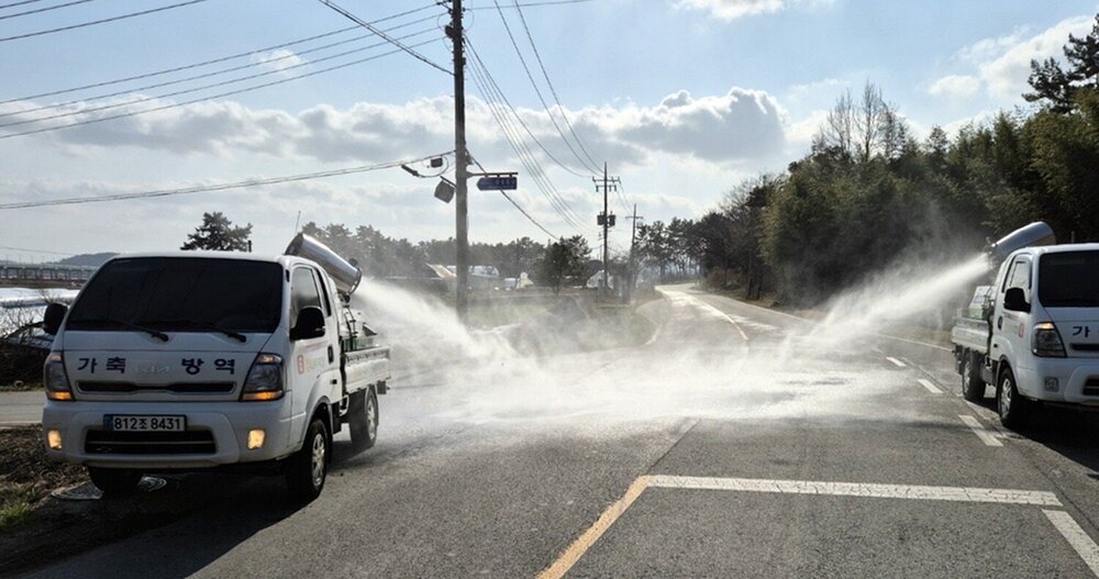 나주시, 구제역 유입 차단 위한 축산농가 주요 도로 소독