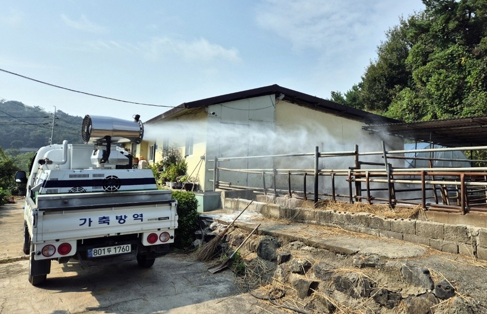 나주시, 구제역 유입 차단 위한 축산농가 소독