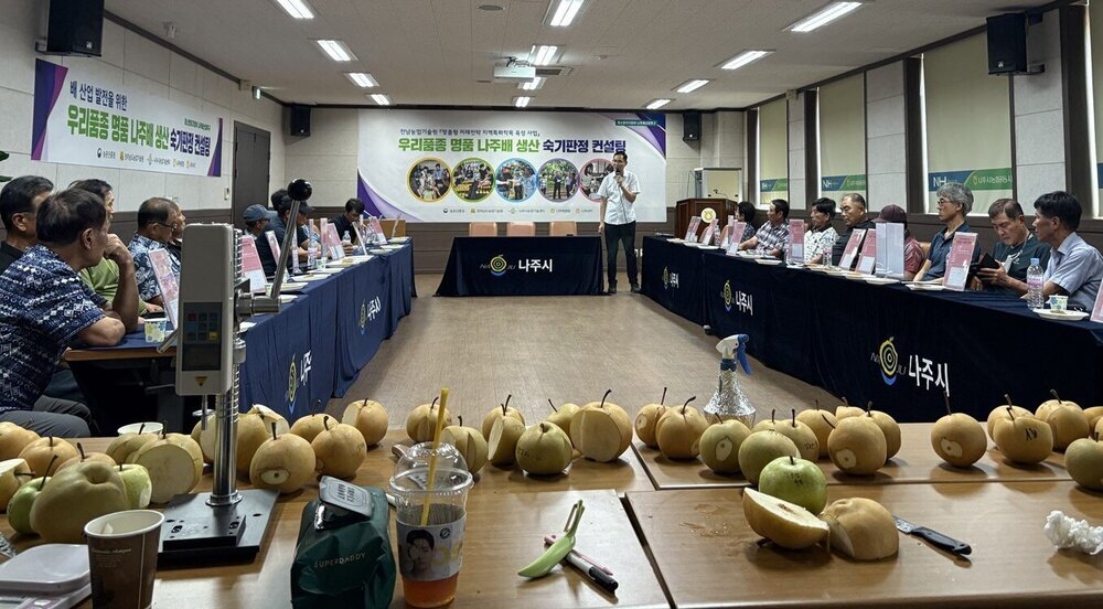 나주시장 인증 품질보증배로 나주배 명성 되살린다