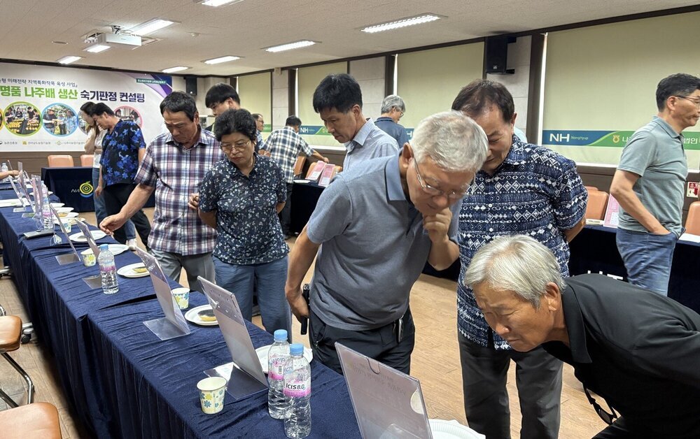 나주시장 인증 품질보증배로 나주배 명성 되살린다