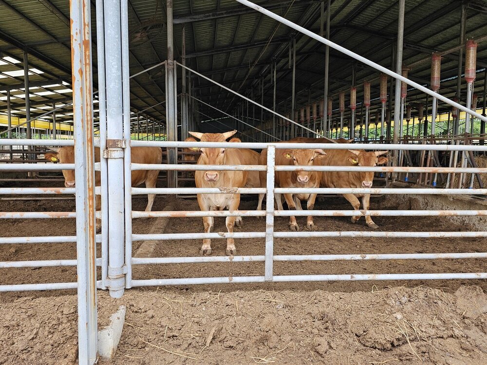 나주시, 축산악취 개선사업 ‘전남 최초’ 3년 연속 선정
