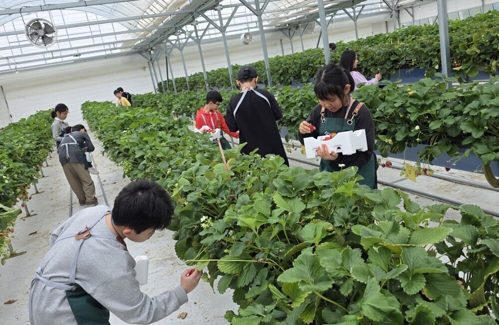 나주시 드림스타트, ‘보고! 따고! 즐기는 농원 체험데이’ 성료