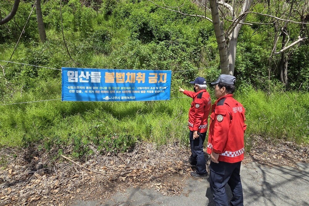 나주시, 연휴 기간 산불 대응 강화…불법 임산물 채취 단속