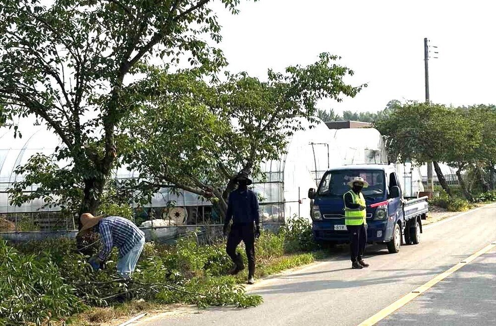 나주시 봉황면, 가로환경 정비로 ‘안전하고 쾌적한 마을’ 탈바꿈