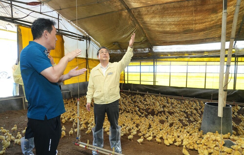 강상구 나주부시장, 축산농가 찾아 폭염 대응 상황 점검