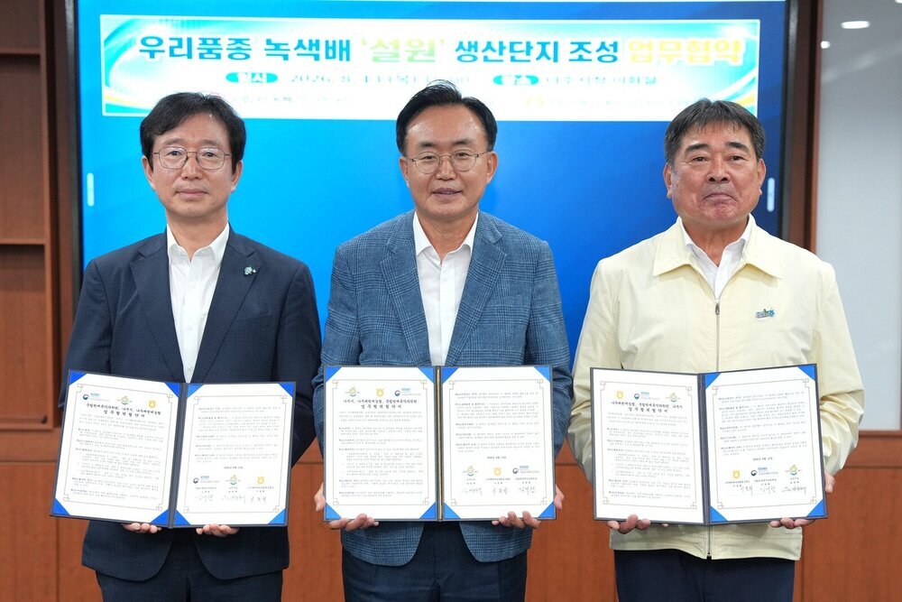 나주시, 국산 녹색배 ‘설원’으로 나주배 품종 다변화 나선다