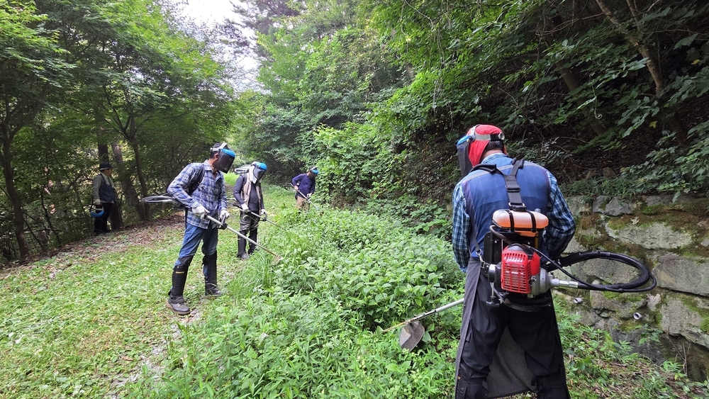 나주시, 추석 벌초·성묫길 임도 132km 연다