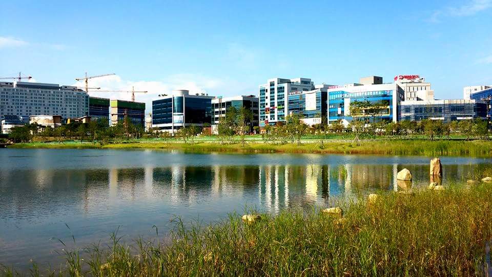 2015년 여름 혁신도시 호수에서 도시방향으로 촬영한 사진