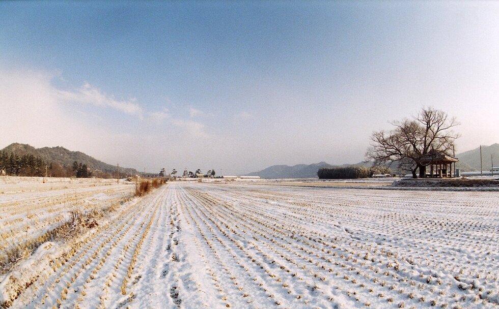 12월 3일 혁신도시 설경
