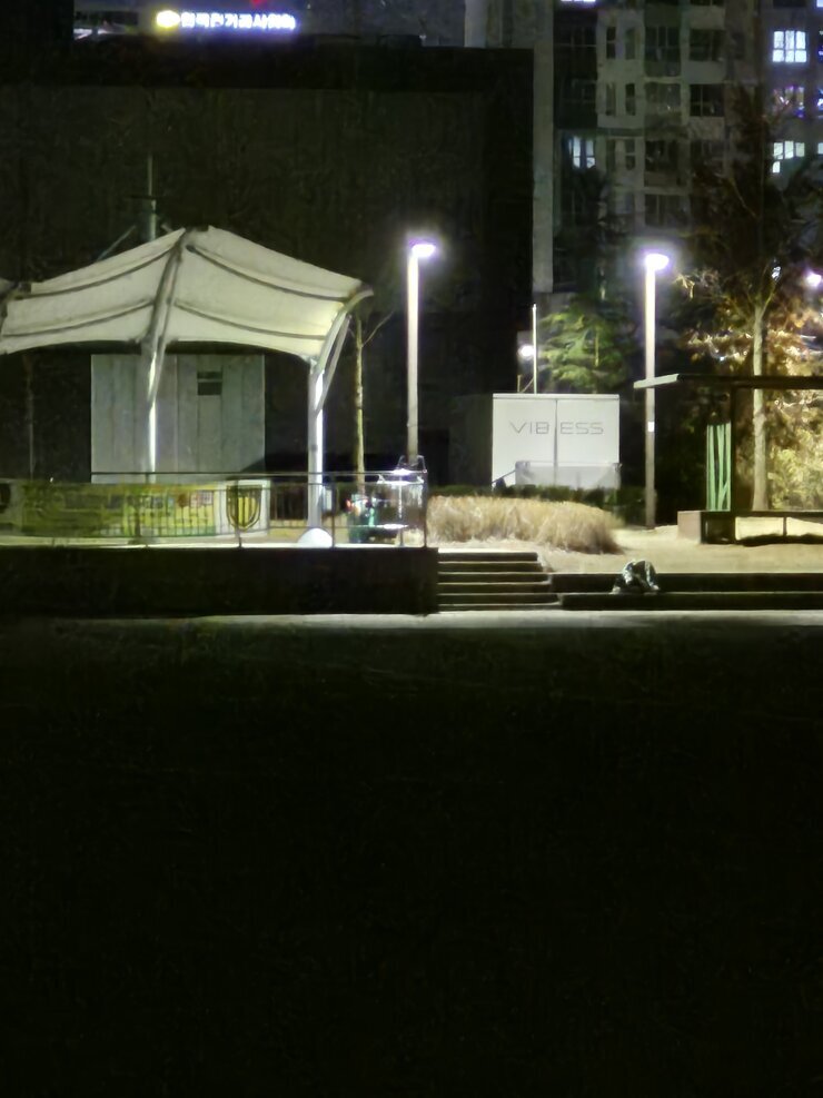 체육공원 중앙 단상 옆 벤치 사진