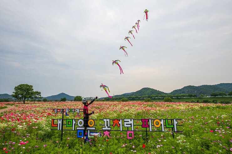 들섬에서 연날리기