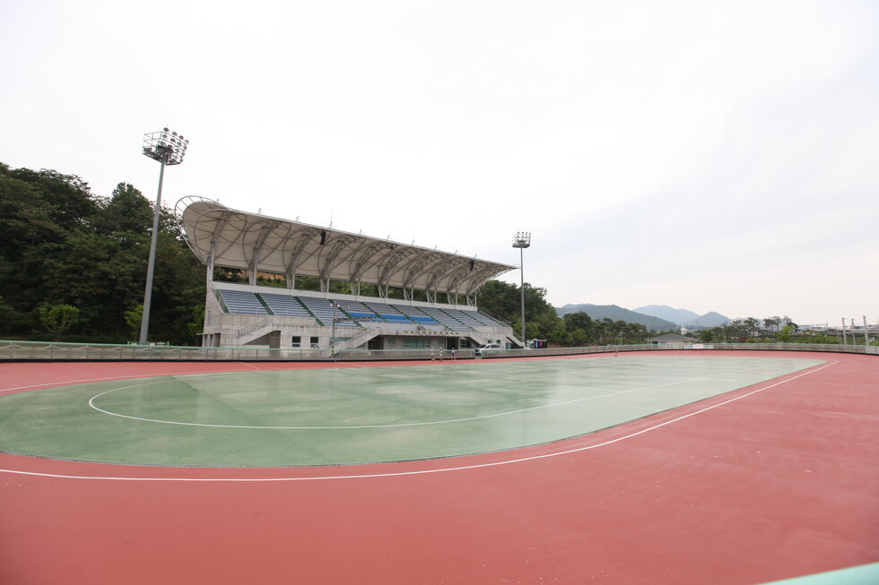 인라인 경기장 전경을 찍은 사진. 초록색과 붉은색으로 되어 있는 트렉과 관람석있음.