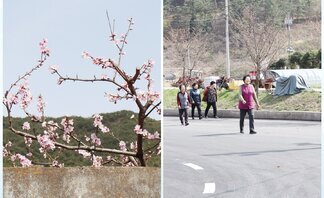 (2019.04.08.) 찾아가는 마을학교 1탄 - ‘꽃 피어라..