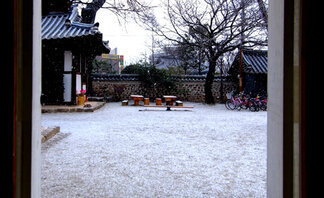 방안에서 바라보아도 운치있는 금학헌