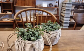 <2022 나주시청년희망학교 라탄을 엮다 - 5번째 수업 >