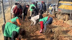 주민자치센터 활성화 사업(우습제 산책로 나무심기)