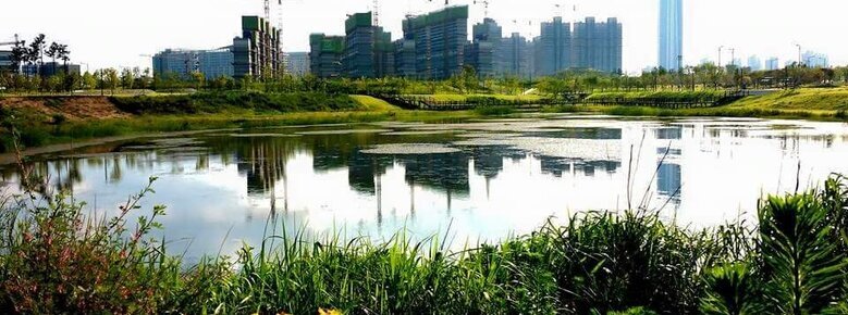 2015년 여름 혁신도시 호수 공원 건너로 공사중인 고층 건물들이 보인다