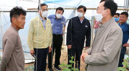 태풍 힌남노 대비 메론농가 방문