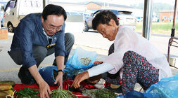 추석 명절맞이 나주목사고을시장 장보기 행사 나주시장이 쪼그려 앉아 두손으로 나물을 잡을려는 모습 옆에 여성 어르신 상인 분이 함께 도와 주고 있는 모습