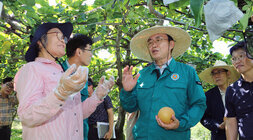 과수배 일소피해 농가 현장 방문 나주시장이 한손으로 배를 들고 과수농가 여주인 본과 피해관련 대화를 나누는 모습