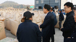 반남, 동강 농협 수매현장 방문 나주시장이 현장의 톤백 앞에서 품질관리원과 대화를 나누는 뒷모습