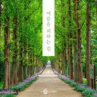 여름을 피하는 길
