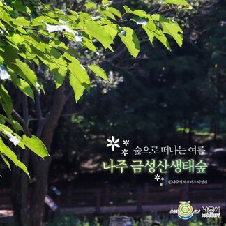 나주 금성산생태숲