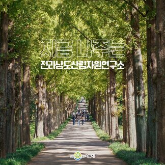 지금 나주는 전라남도산림자원연구소 [나주시]