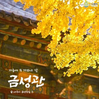 가을에 꼭 가봐야 할 금성관 나주시 금성관길 8