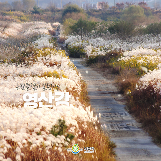 은빛물결이 일렁이는 영산강 ~ [나주시]