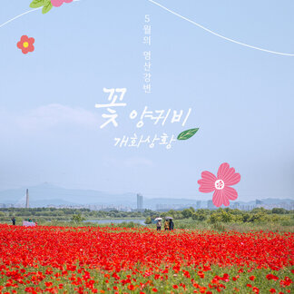 나주 영산강은 온통~ 사랑스러웠습니다:)