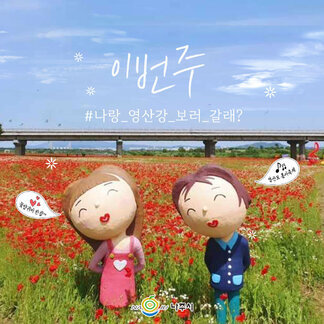 이번 주 나랑 영산강 보러 갈래?