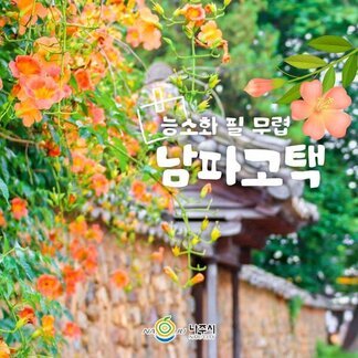 농소화 필 무렵, 나주 남파고택은 이렇게 아름답습니다:)