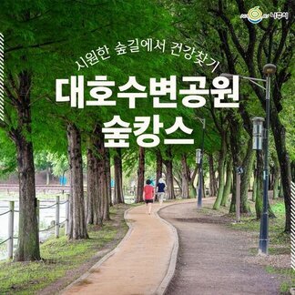 시원한 숲길에서 건강찾기!  대호수변공원 숲캉스 즐겨보세요
