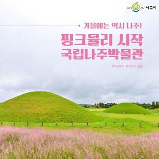 지금, 핑크뮬리 피기 시작했어요~