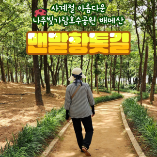 나주빛가람호수공원에 맨발황톳길 조성된 거 알고 계셨나요?