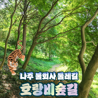 불회사둘레길 호랑비숲길 전 구간 개방!