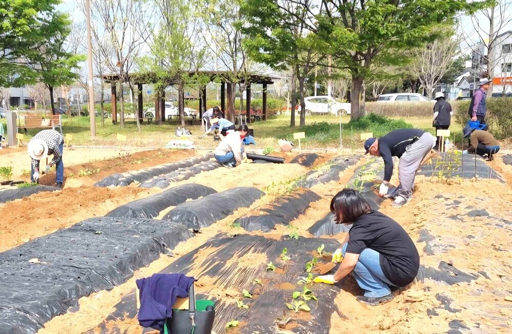 나주시, 시민이 가꾸는 녹색체험 공간 ‘공영 텃밭’ 145구획 신규 분양